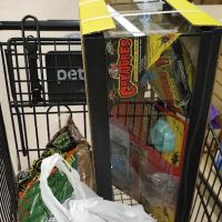Petco ico