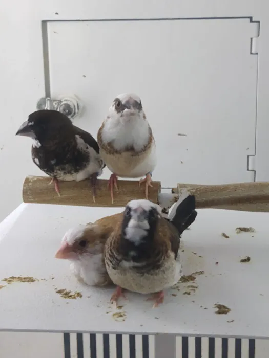 Petco Picture 6