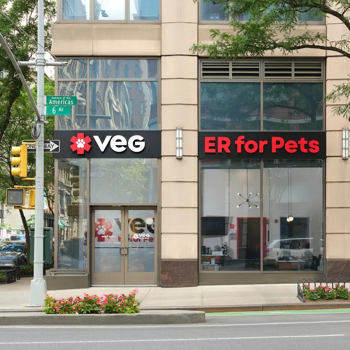 VEG ER for Pets Picture 1