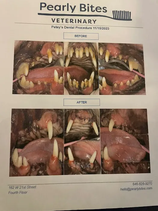 Pearly Bites Veterinary Picture 3