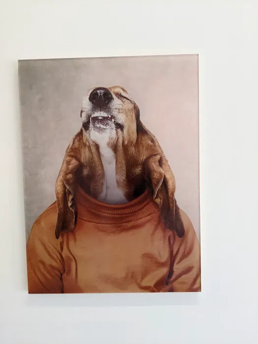 Pearly Bites Veterinary Picture 1