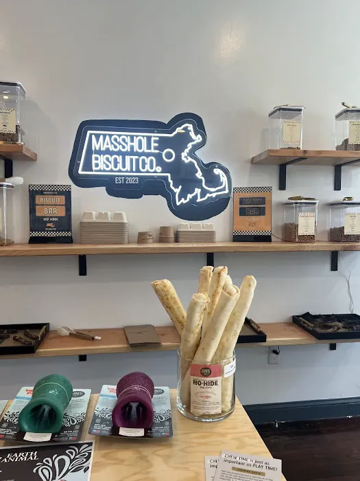Masshole & Co. Picture 8