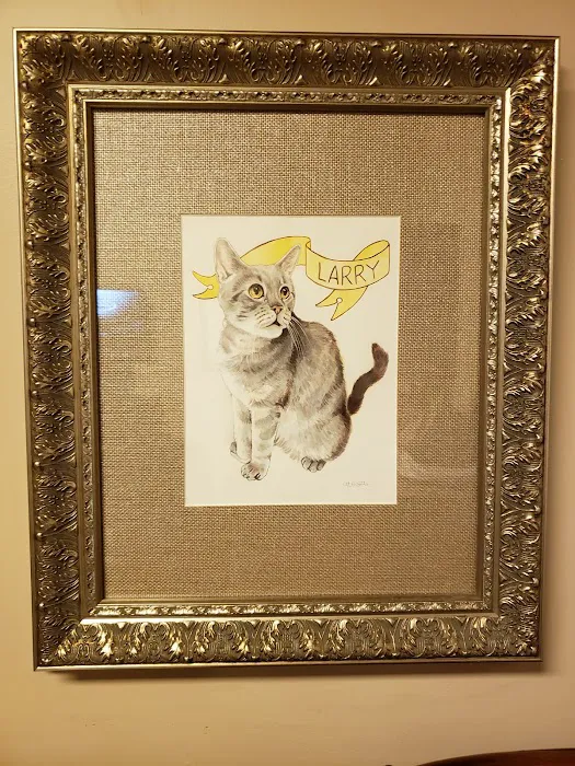 The Cat Practice Picture 8