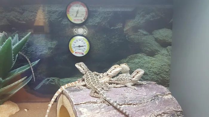 Petco Picture 8