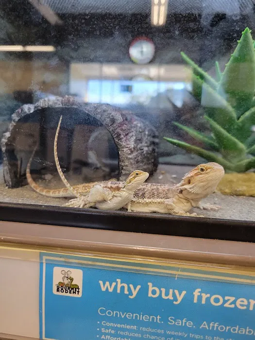 Petco Picture 9