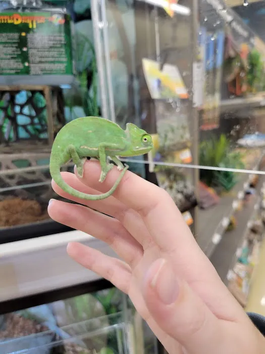Petco Picture 1