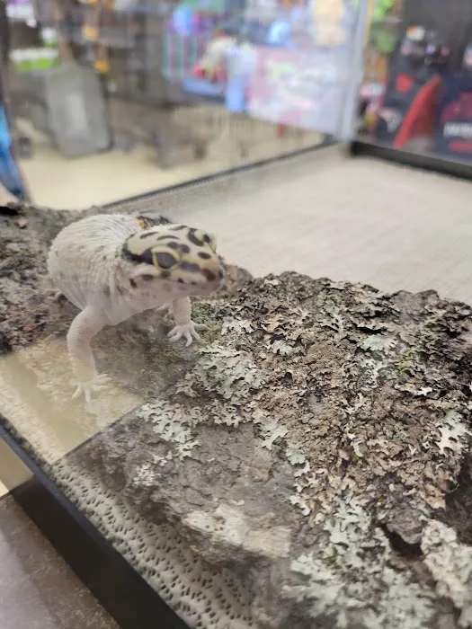Petco Picture 6