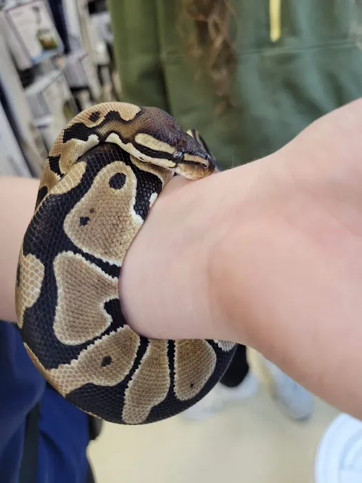Petco Picture 2