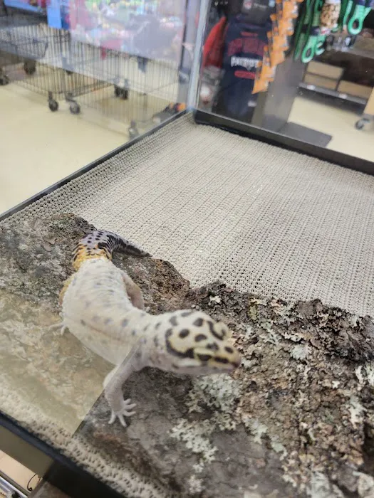 Petco Picture 5