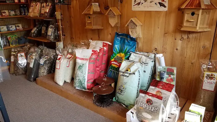 Brewster Bird House at Woodworks Gallery Picture 7