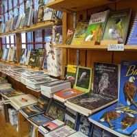 Bird Watchers' General Store ico