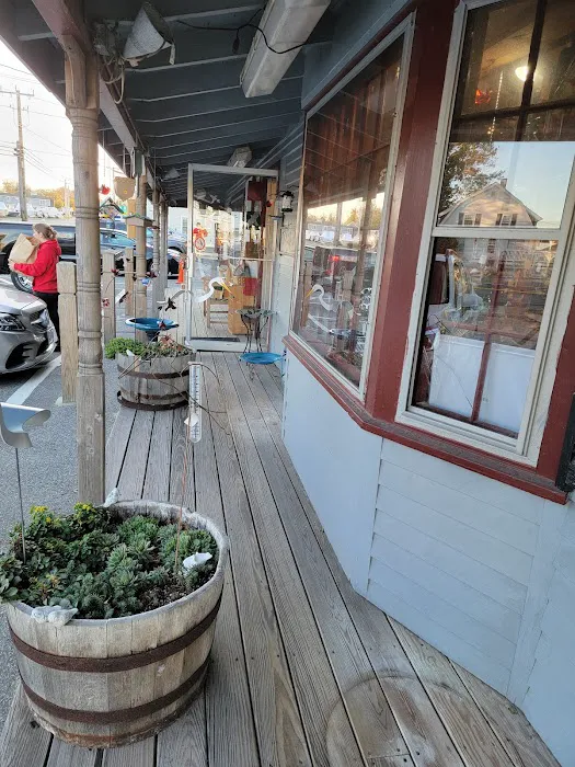 Bird Watchers' General Store Picture 5