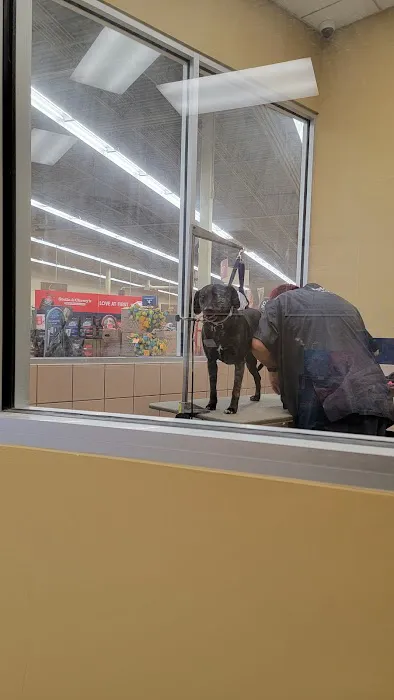 Petco Picture 2