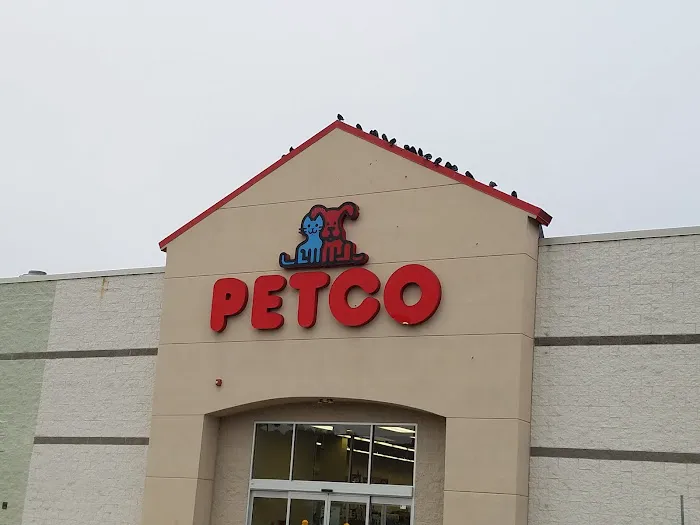 Petco Picture 5