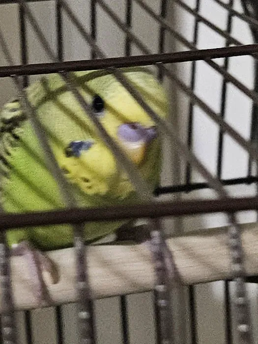 Petco Picture 9