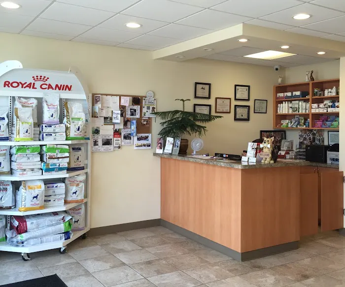 Hylan Animal Hospital Picture 4