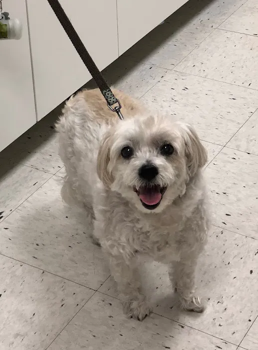 Hylan Animal Hospital Picture 8