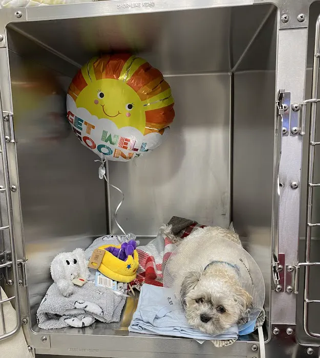 Hylan Animal Hospital Picture 6