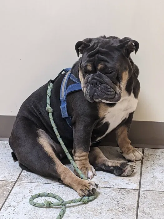 Hylan Animal Hospital Picture 5
