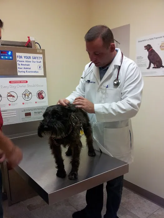 Hylan Animal Hospital Picture 10