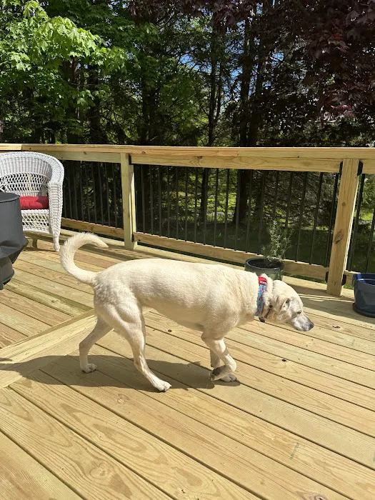 The Maine Pooch Picture 4