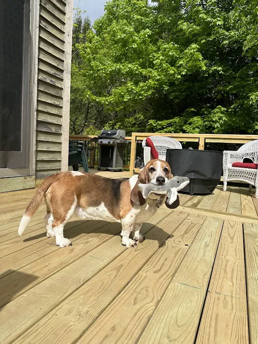 The Maine Pooch Picture 6