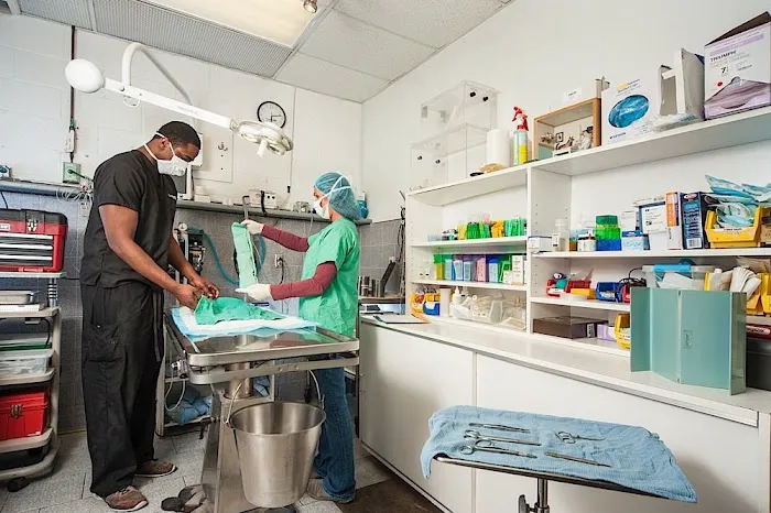 CompleteCare Veterinary Center Picture 9