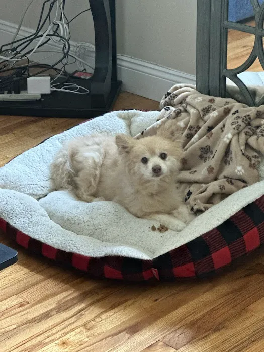 CompleteCare Veterinary Center Picture 4