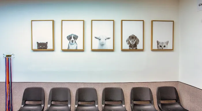 CompleteCare Veterinary Center Picture 2