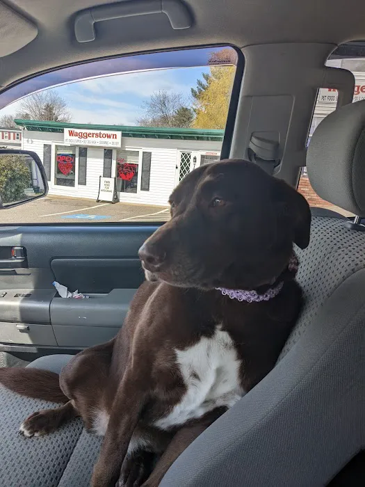 Waggerstown Pet Nutrition, Supplies & Service Picture 7