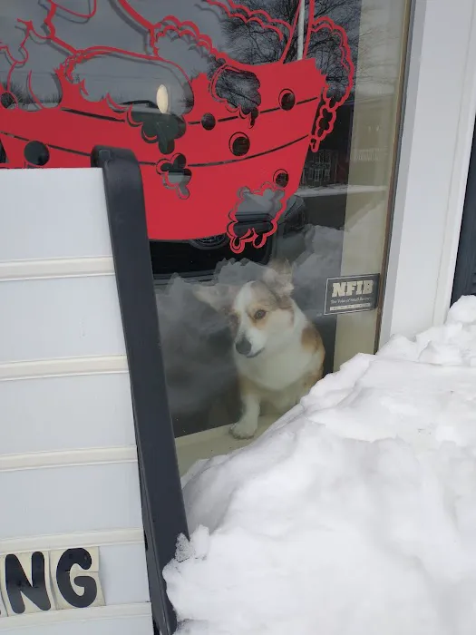 Waggerstown Pet Nutrition, Supplies & Service Picture 10