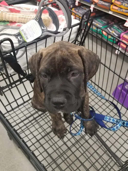 Petco Picture 1