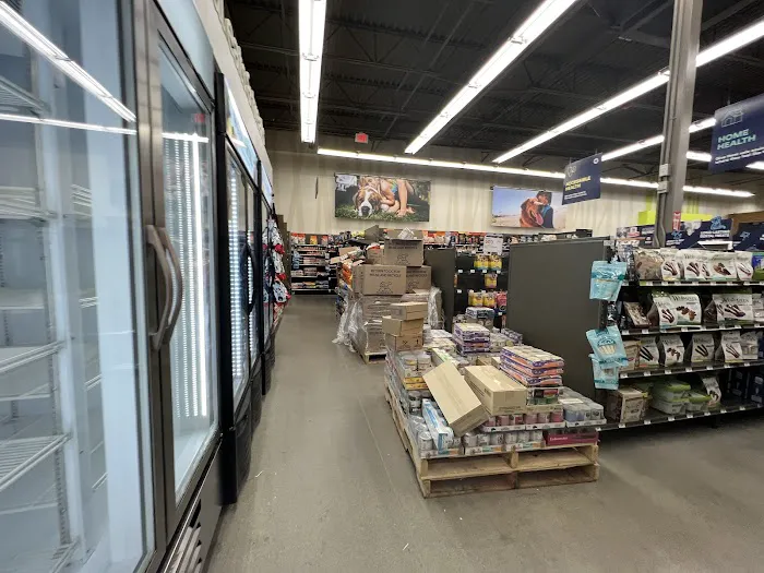Petco Picture 3