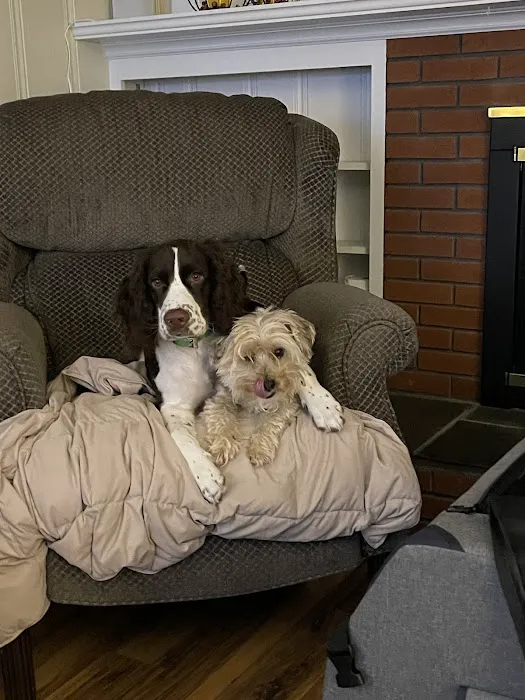 Clark Veterinary Hospital Picture 1