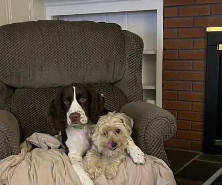 Clark Veterinary Hospital