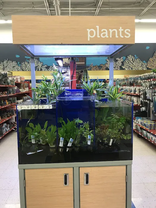 Petco Picture 4
