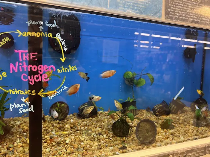 Petco Picture 8