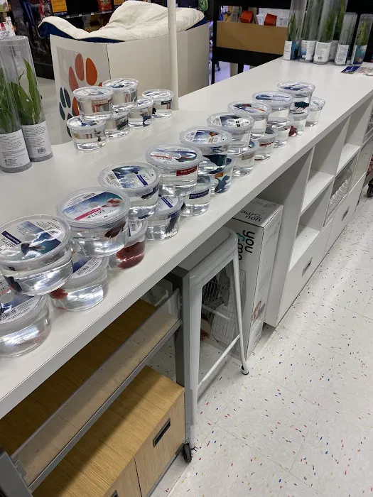 Petco Picture 1