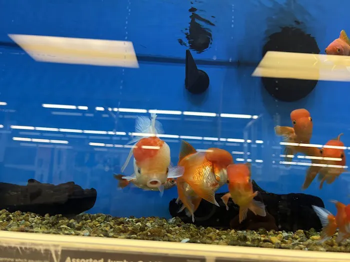 Petco Picture 3
