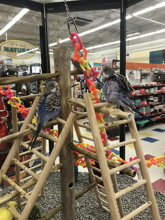 Petco Picture 10