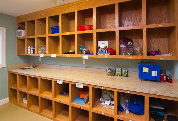 Animal Hospital of Old Saybrook Picture 9
