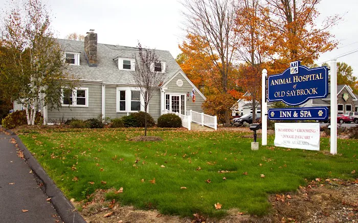 Animal Hospital of Old Saybrook Picture 8