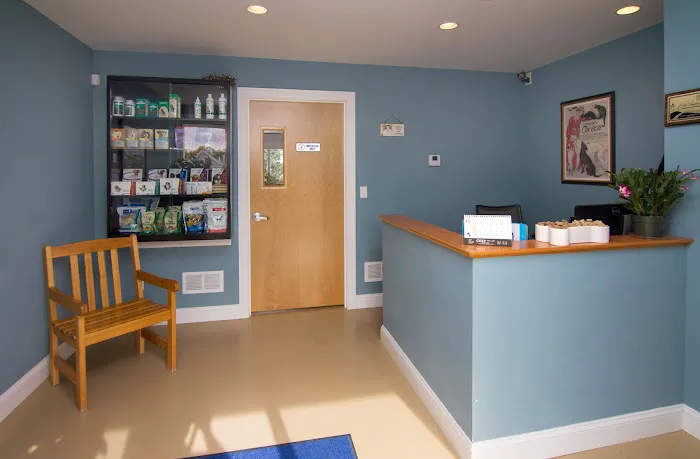 Animal Hospital of Old Saybrook Picture 7