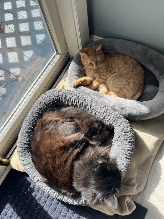 Team Tait's Every Animal Matters Picture 10