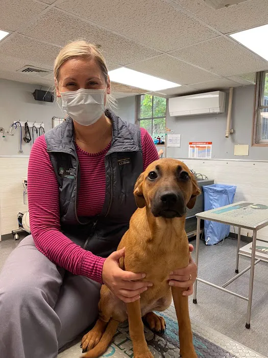 Clinton Veterinary Hospital Picture 5