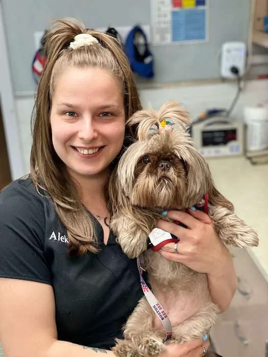 Clinton Veterinary Hospital Picture 3