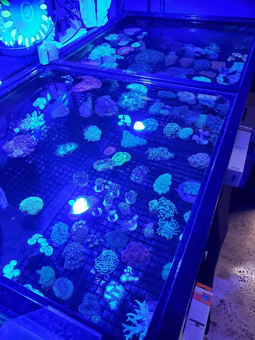 Easy Aquariums - Westbrook Picture 6