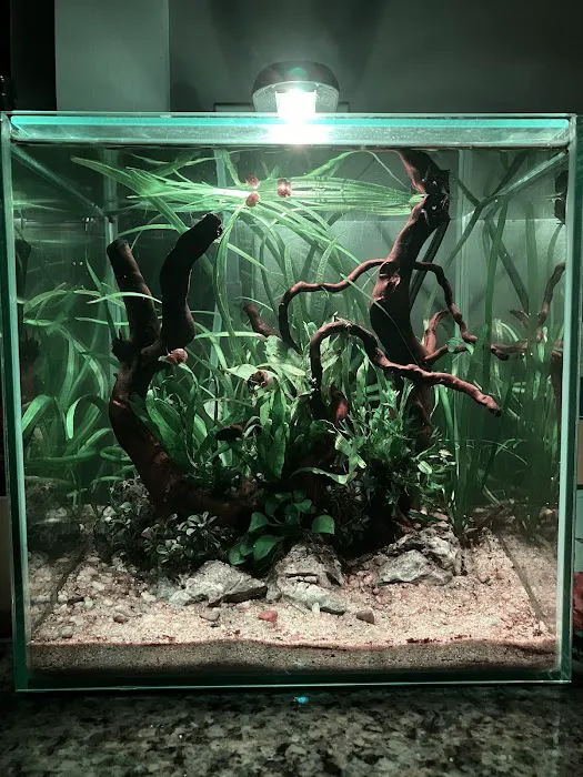 Easy Aquariums - Westbrook Picture 1