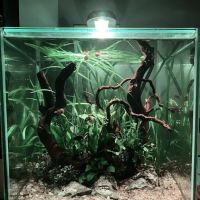 Easy Aquariums - Westbrook ico