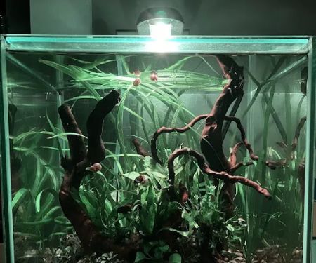 Easy Aquariums - Westbrook
